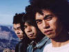 ELECTRIC EEL SHOCK