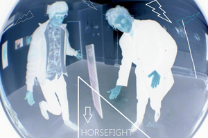 HORSEFIGHT