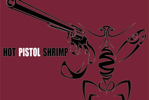 HOT PISTOL SHRIMP