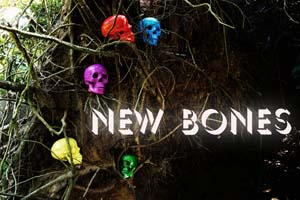 NEW BONES