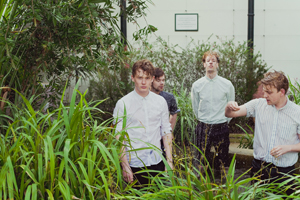 THE CROOKES