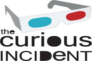 THE CURIOUS INCIDENT